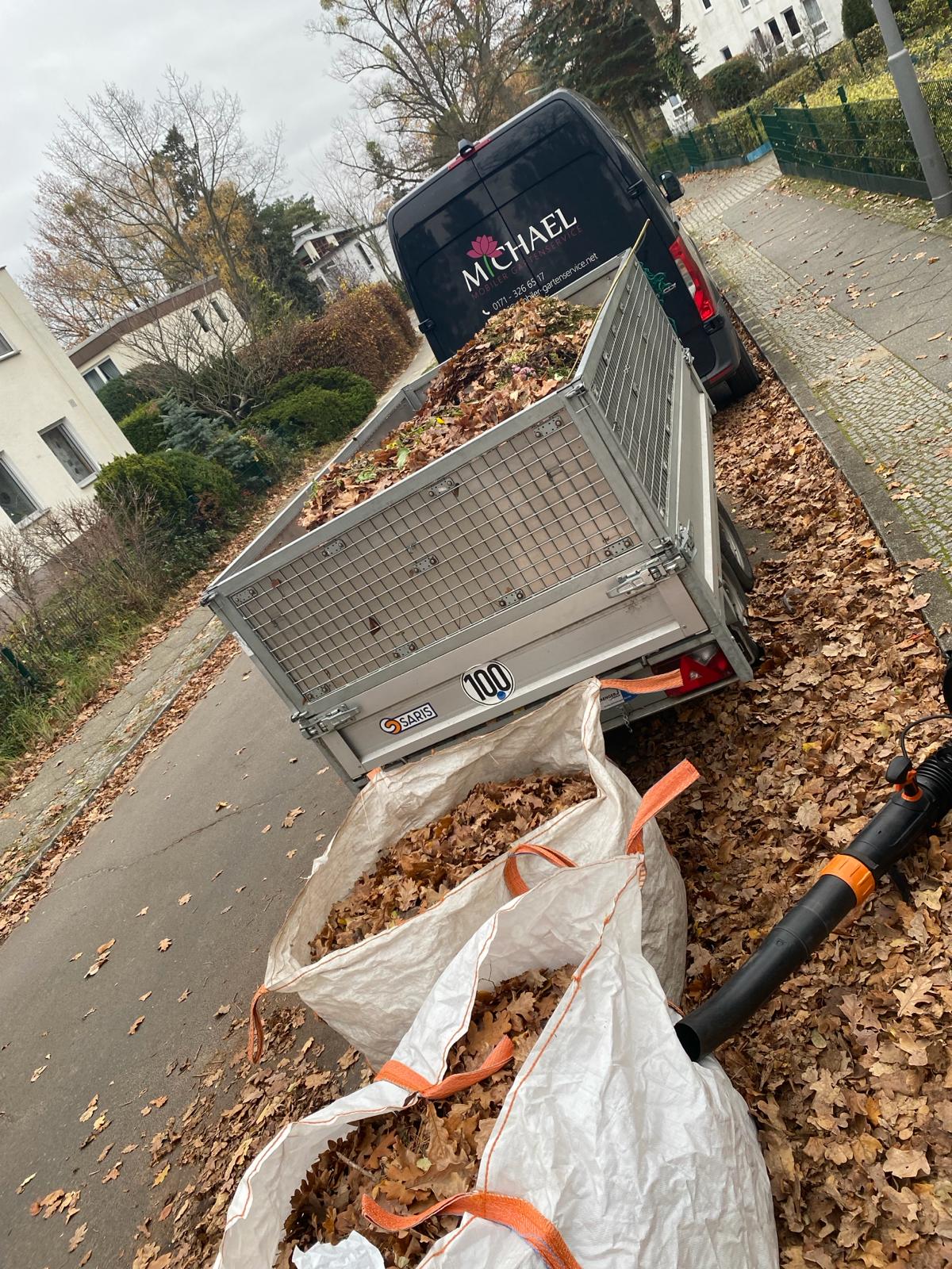 Laubarbeiten an der Wohnanlage am Knoblauchring