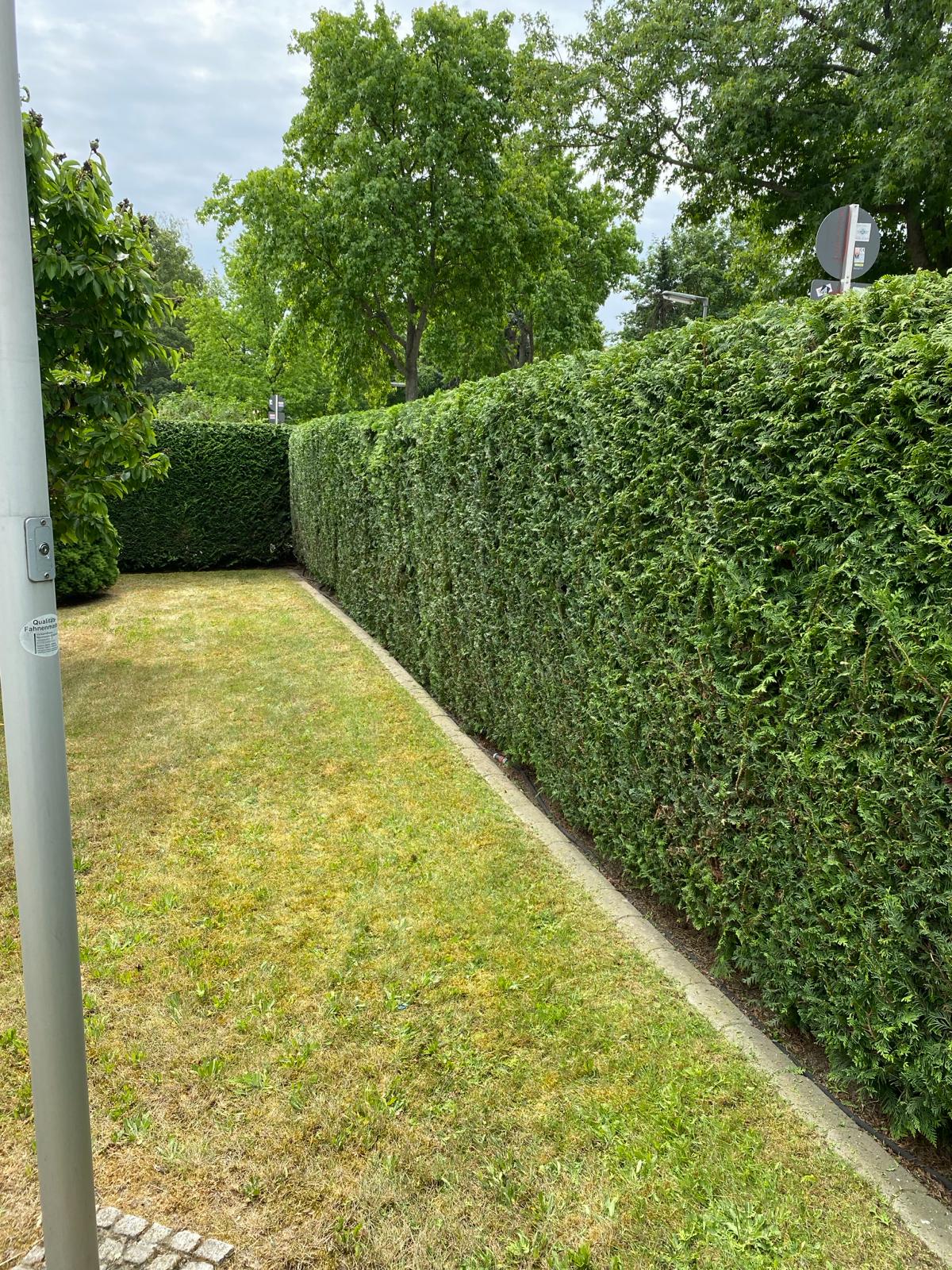 Heckenanlage am Zwickauer Damm